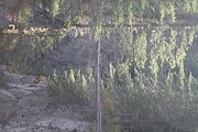 21 - Maligne Canyon, Medicine Lake, Maligne Lake - IMG_1102